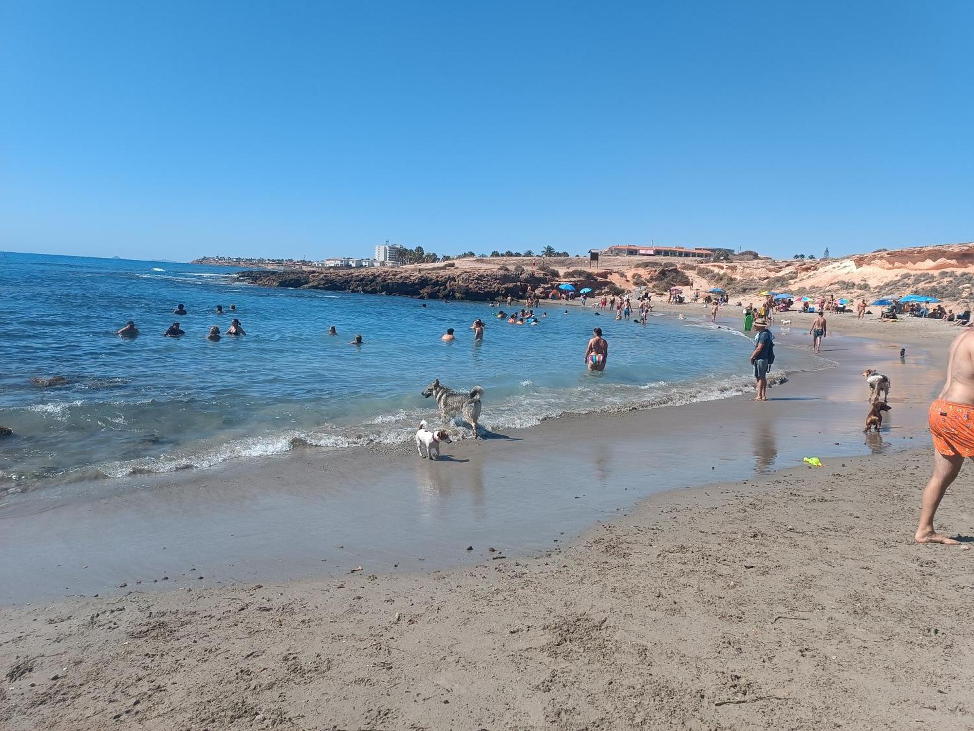 La Campana Lejlighed Dehesa de Campoamor  Eksteriør billede